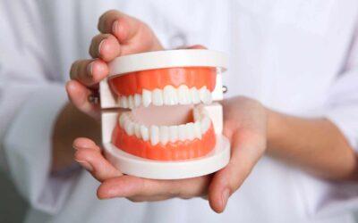 ¿Cuántos dientes tenemos los adultos?